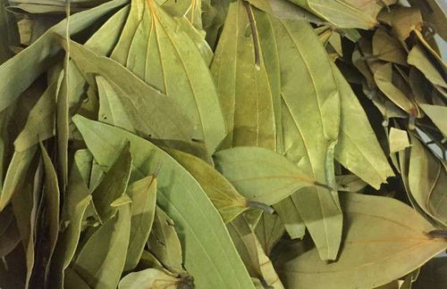 Bay leaves