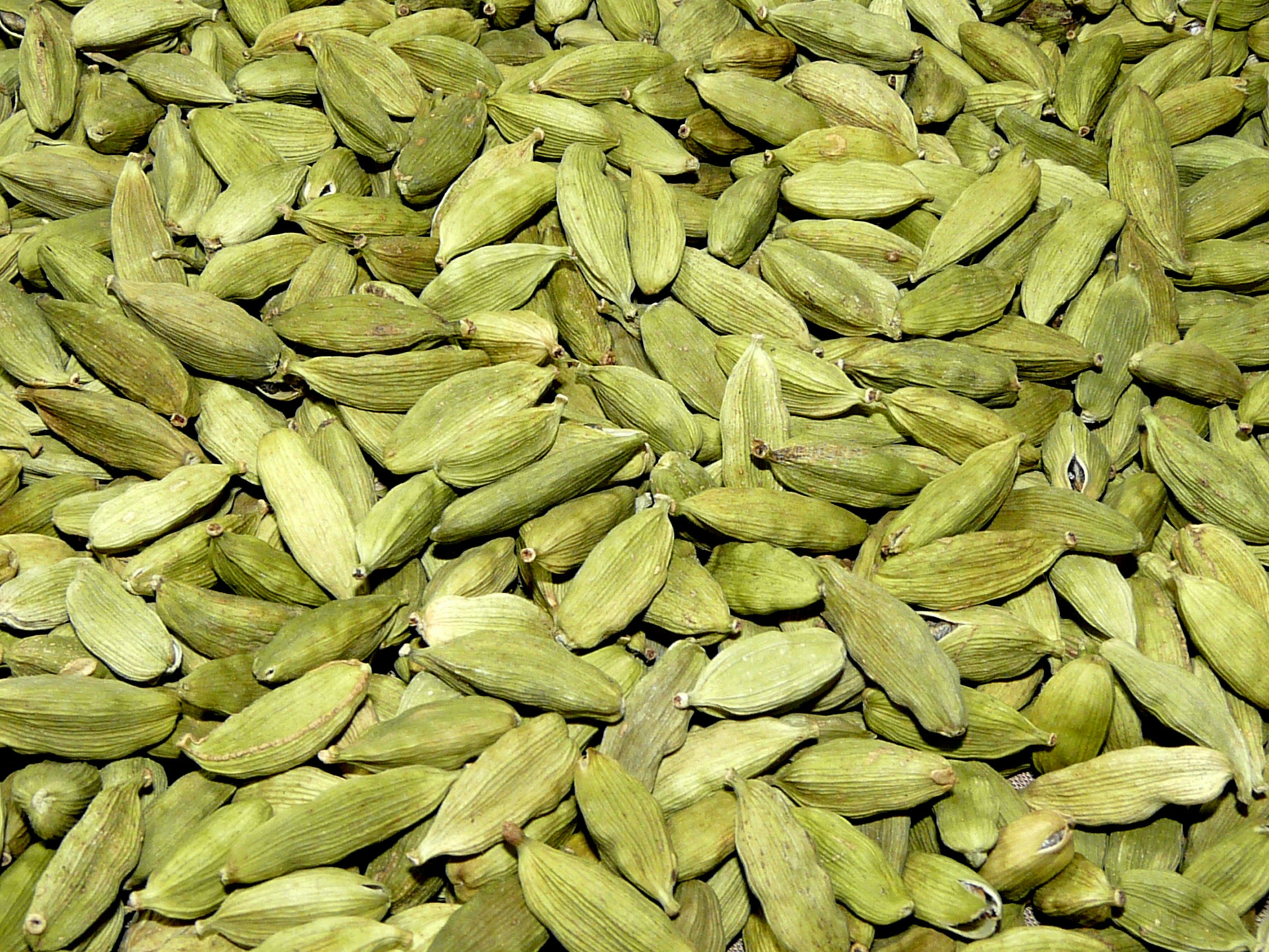 Cardamom